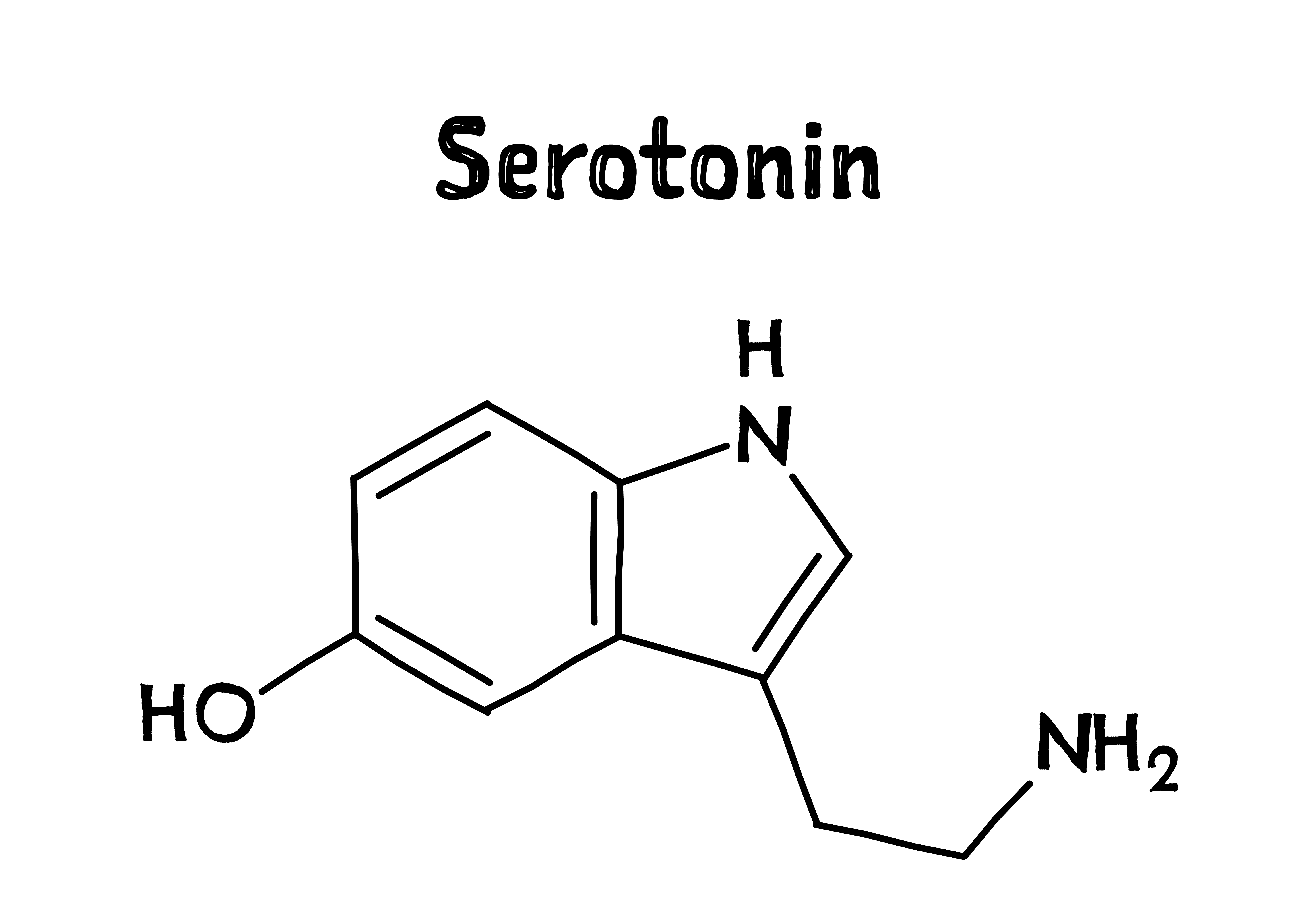 serotonin and stress